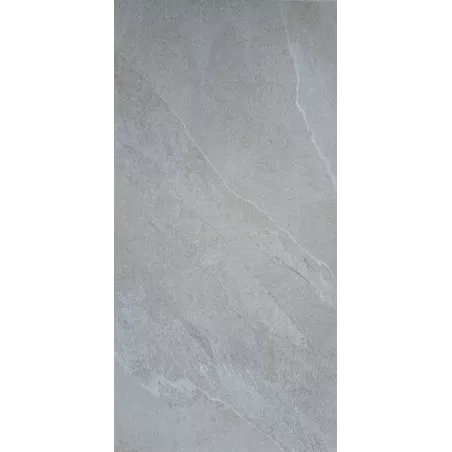 DALLE 2CM ELIMON GRIGIO 60X120 - 140P3