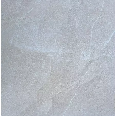 DALLE 2CM CITIZEN SABLE 60X60 - 350W2