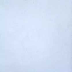 DALLE 2CM CALCARIA BIANCA 60X60 - 400G1