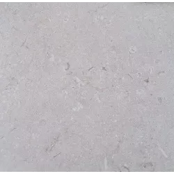 DALLE 2CM TOTAL BLANC 60X120 - 400F1