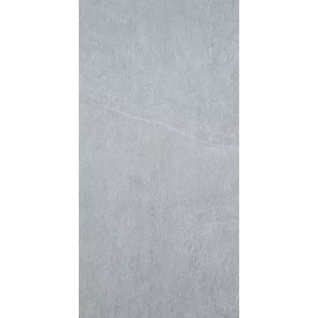 DALLE 2CM ARKISTONE SILVER 60X120