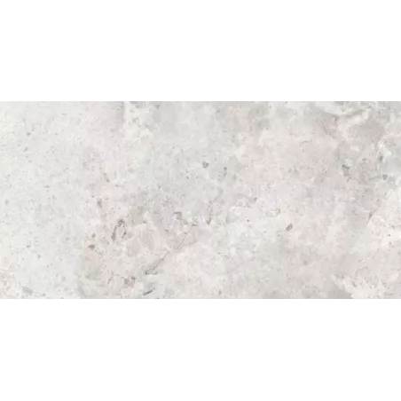 DALLE 2CM PERI GRIGIA 60X120 - 360B3